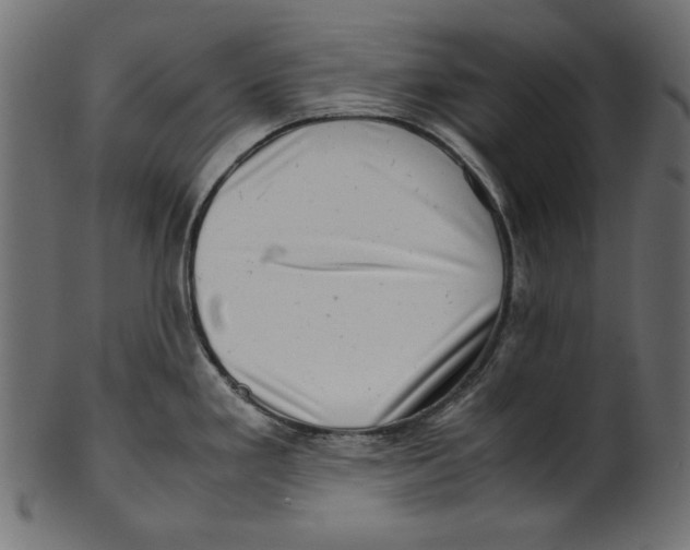 X0000100881293200807181250