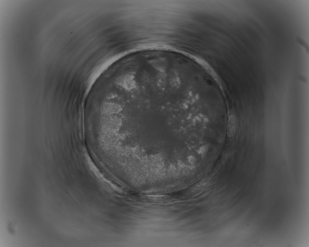 X0000100881295200807181250