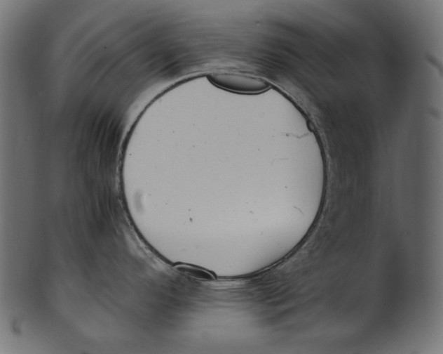 X0000100881296200807181250