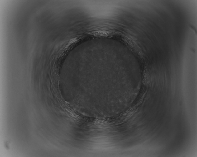 X0000100881297200807181249