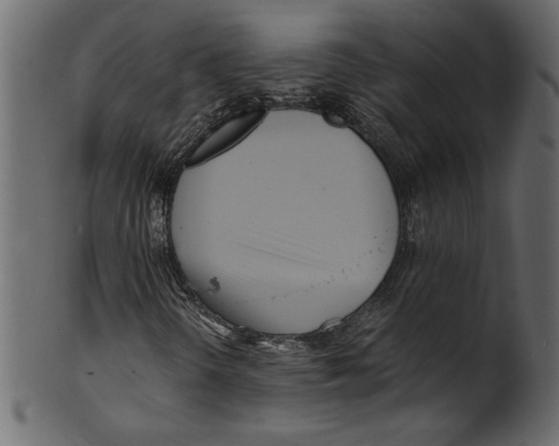 X0000100881298200807181249