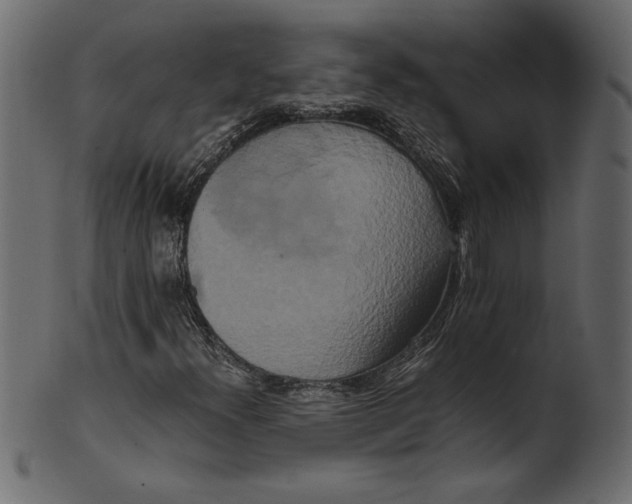 X0000100881300200807181250