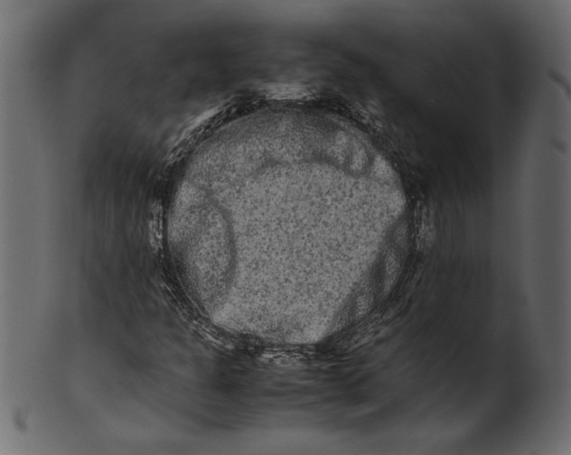 X0000100881301200807181250