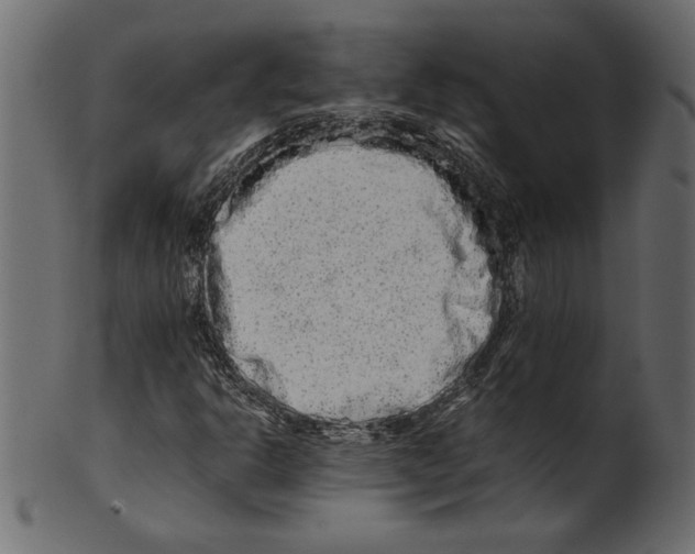 X0000100881302200807181250