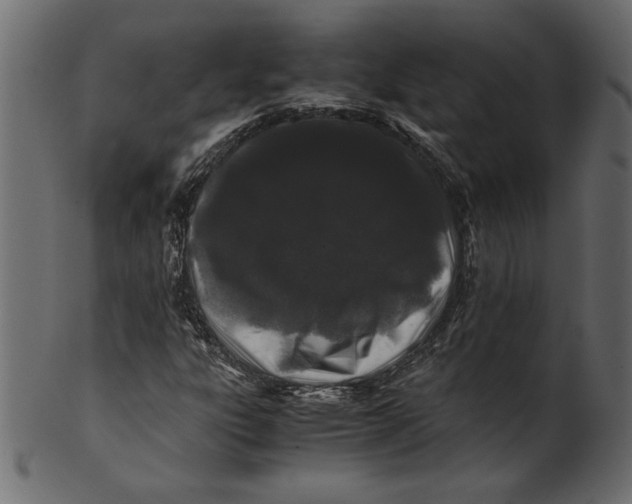 X0000100881303200807181250