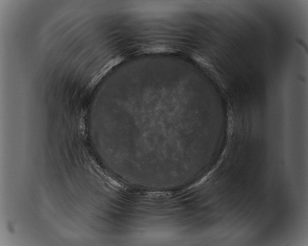 X0000100881305200807181250