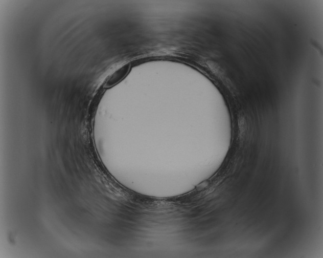 X0000100881308200807181250