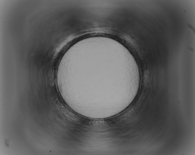 X0000100881310200807181250