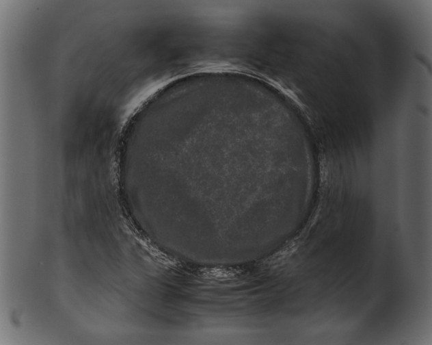 X0000100881311200807181250