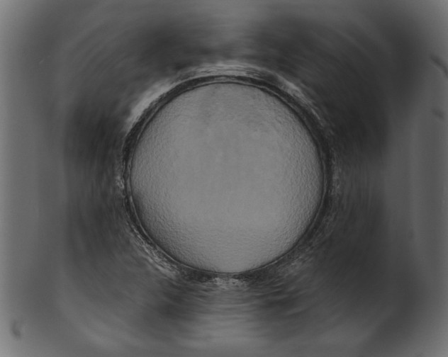 X0000100881312200807181250