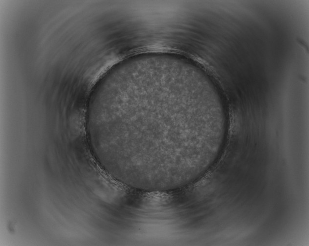 X0000100881314200807181250