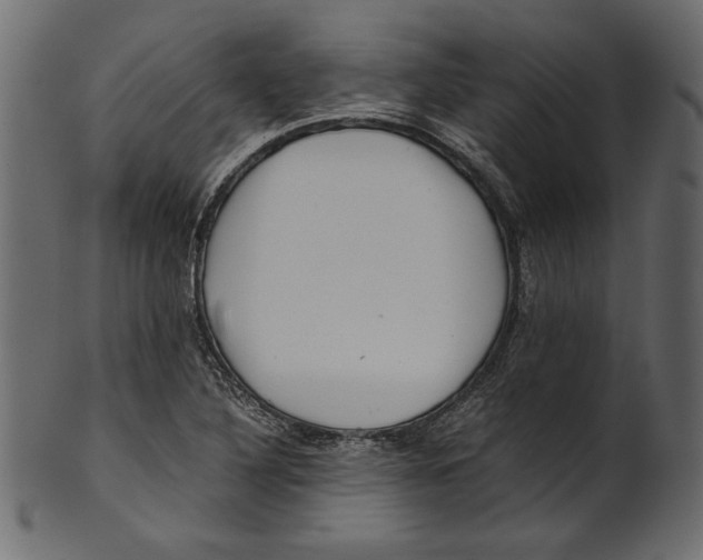 X0000100881316200807181250