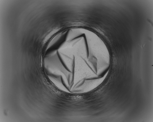 X0000100881317200807181250