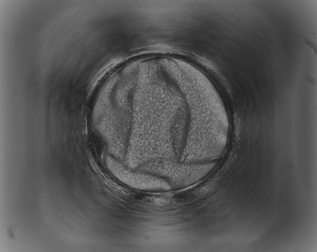 X0000100881318200807181250