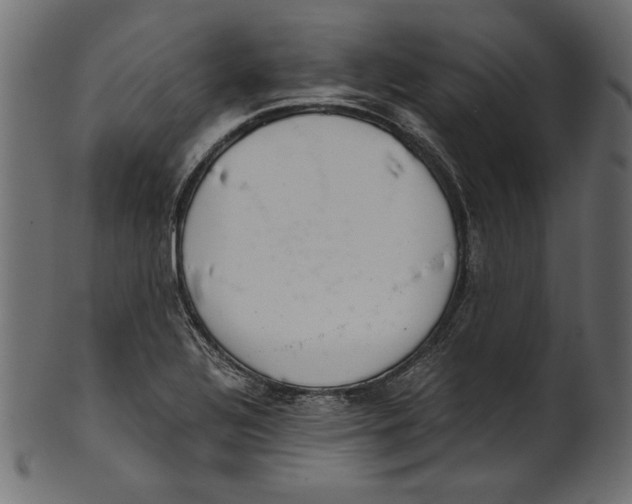 X0000100881320200807181250