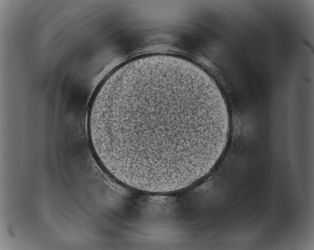 X0000100881322200807181250