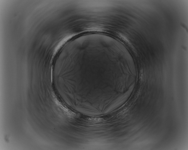 X0000100881323200807181250