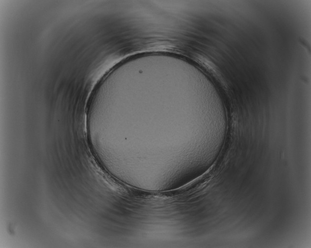 X0000100881324200807181250