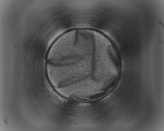 X0000100881325200807181250