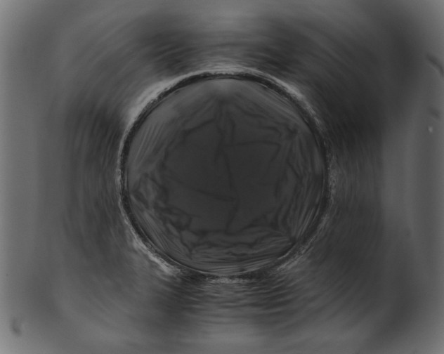 X0000100881327200807181250