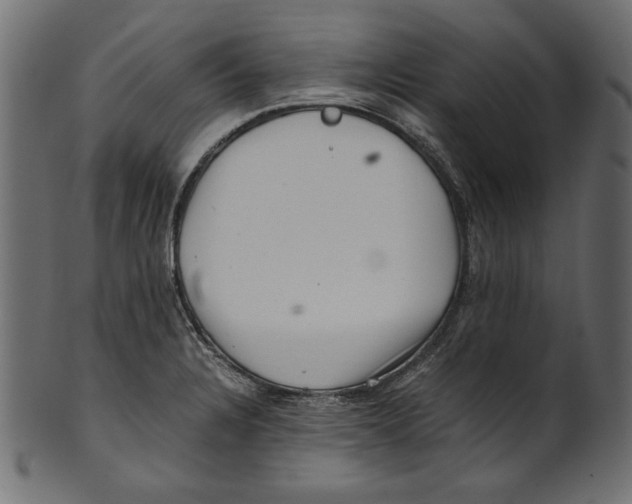 X0000100881328200807181250