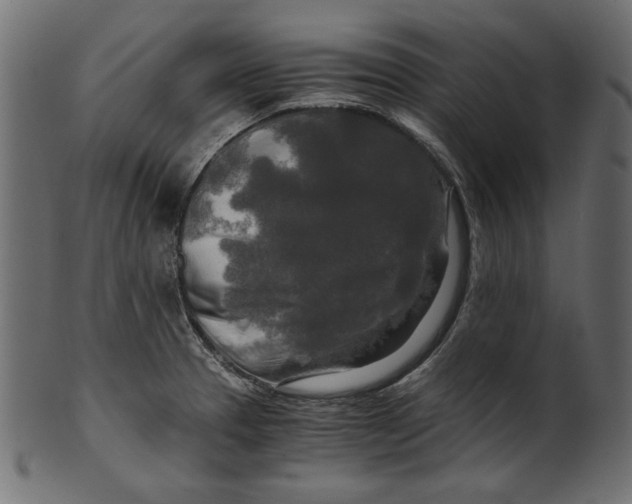 X0000100881329200807181250