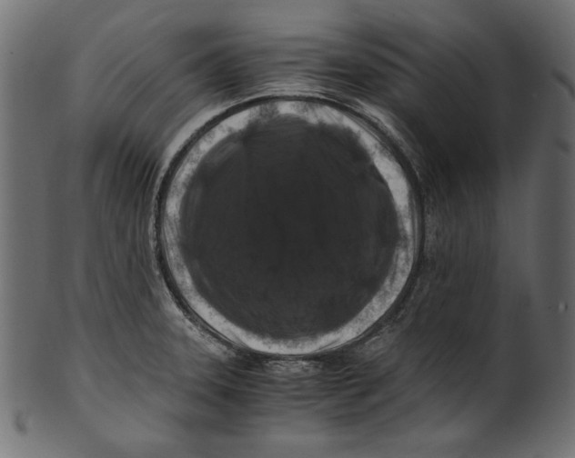 X0000100881331200807181250