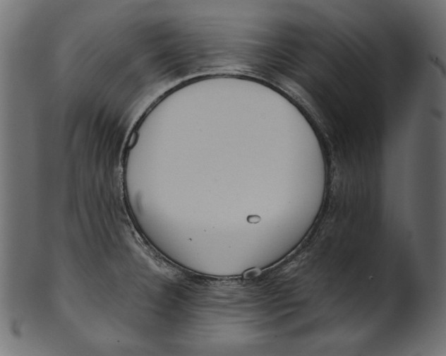 X0000100881332200807181250