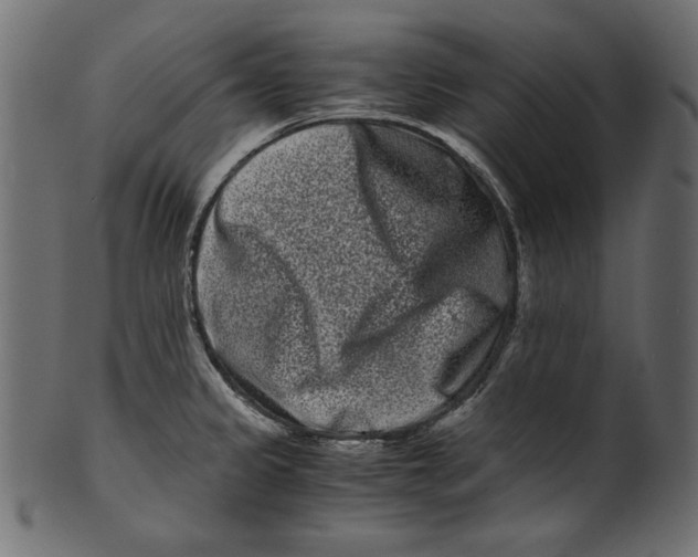 X0000100881333200807181250