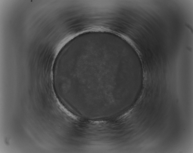 X0000100881335200807181250