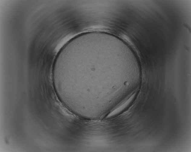 X0000100881336200807181250