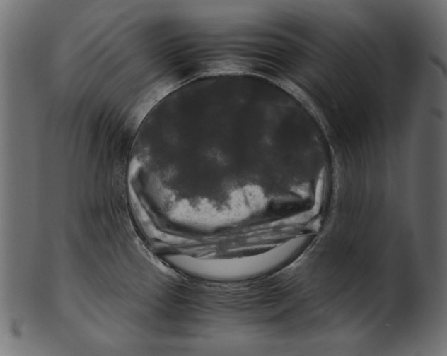 X0000100881337200807181250