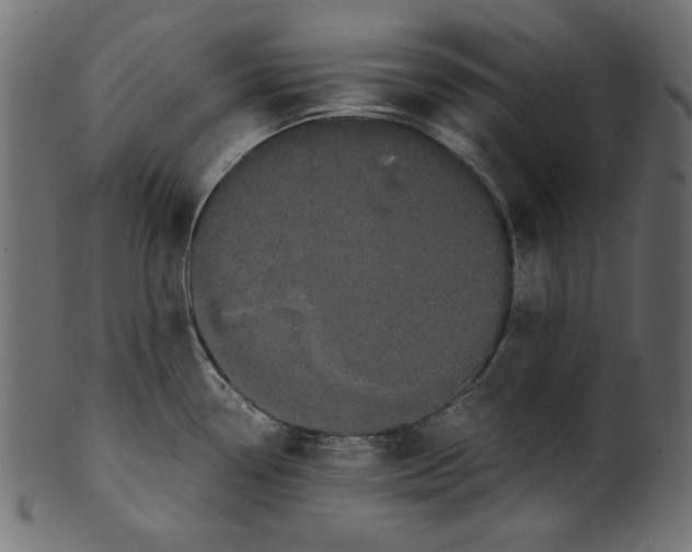 X0000100881338200807181250