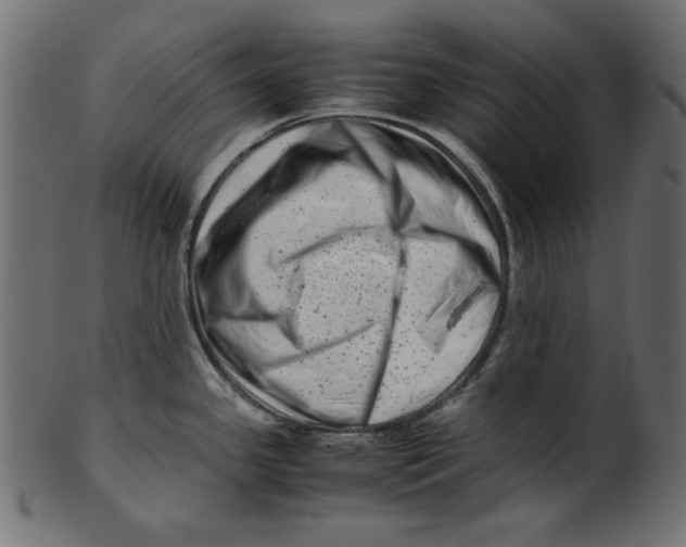 X0000100881341200807181250