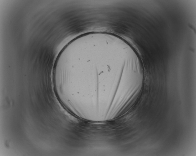 X0000100881343200807181250