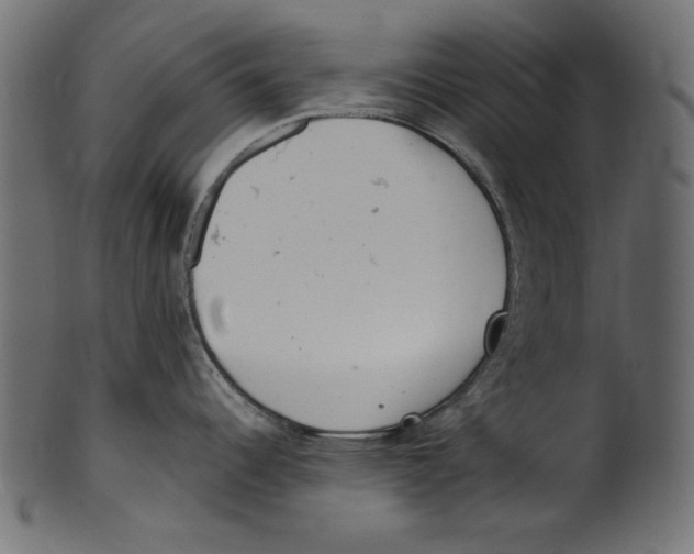 X0000100881344200807181250