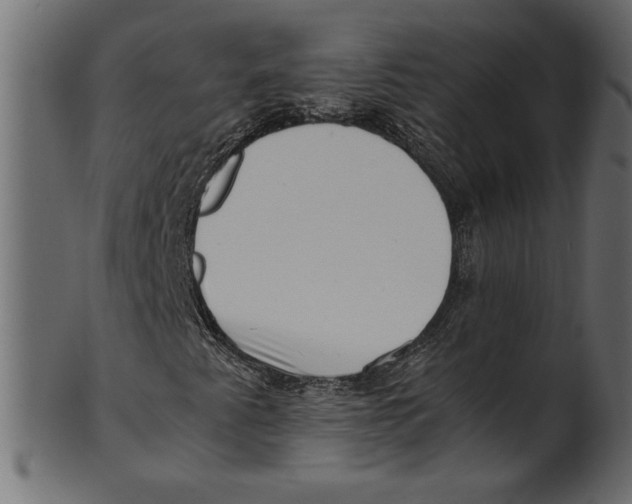 X0000100881345200807181249