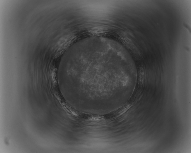 X0000100881346200807181249