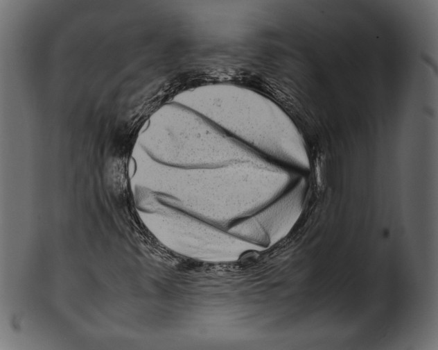 X0000100881347200807181249