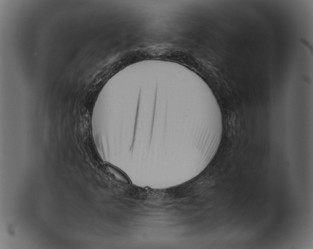 X0000100881349200807181249