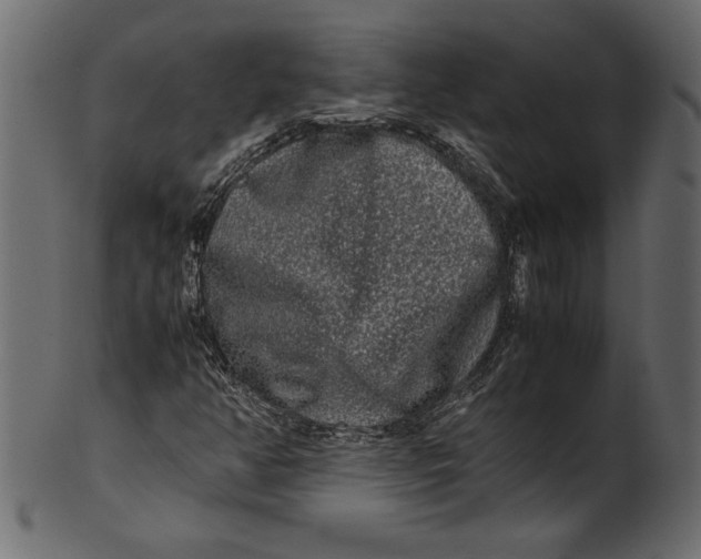 X0000100881350200807181249