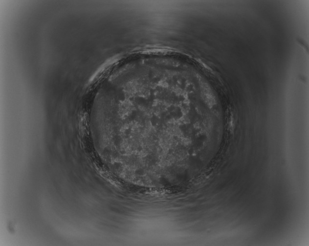 X0000100881351200807181249