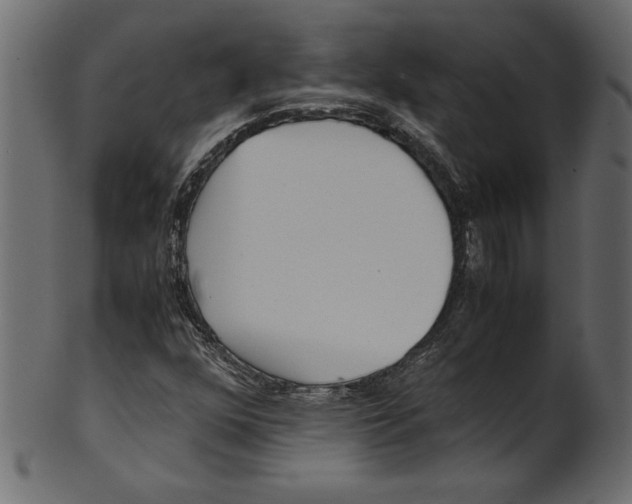 X0000100881352200807181249