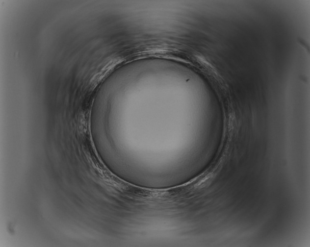 X0000100881353200807181249