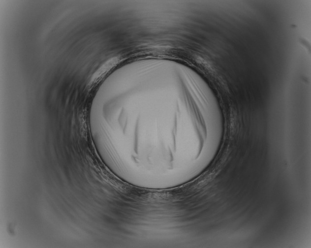 X0000100881354200807181249