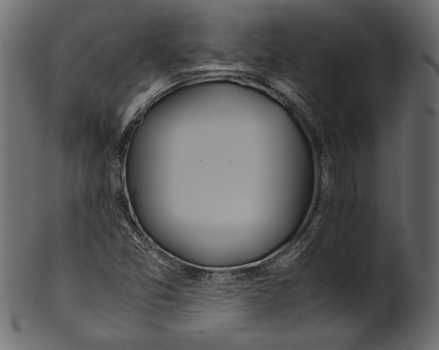 X0000100881357200807181249