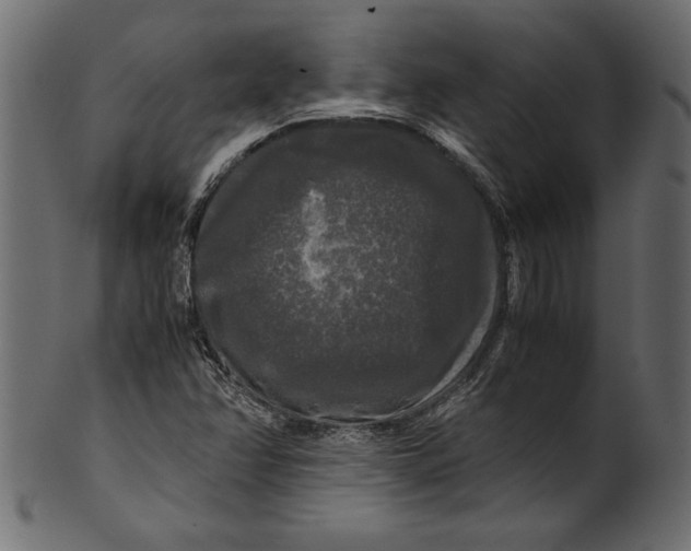 X0000100881358200807181249