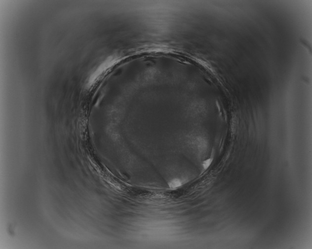 X0000100881359200807181249