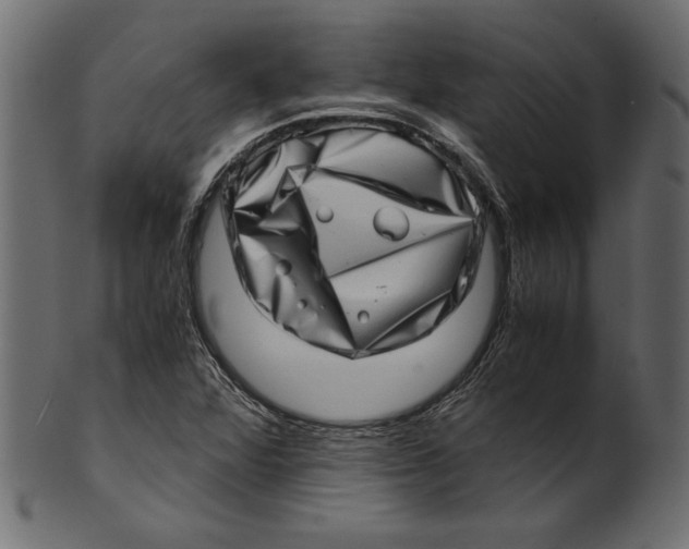 X0000100881360200807181249