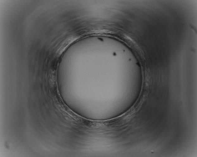 X0000100881361200807181249